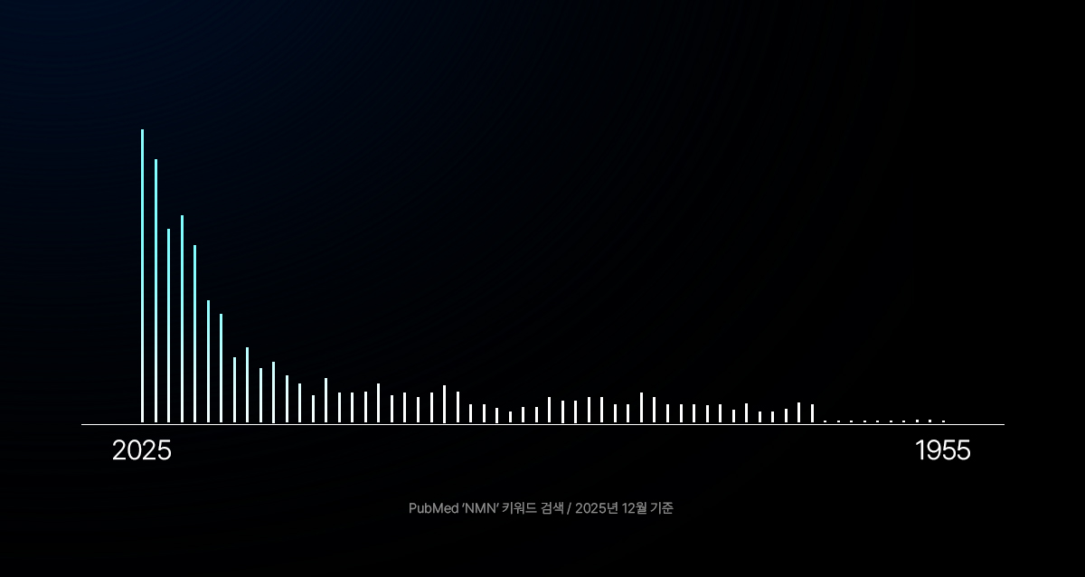 NMN 학술 논문 데이터 그래프